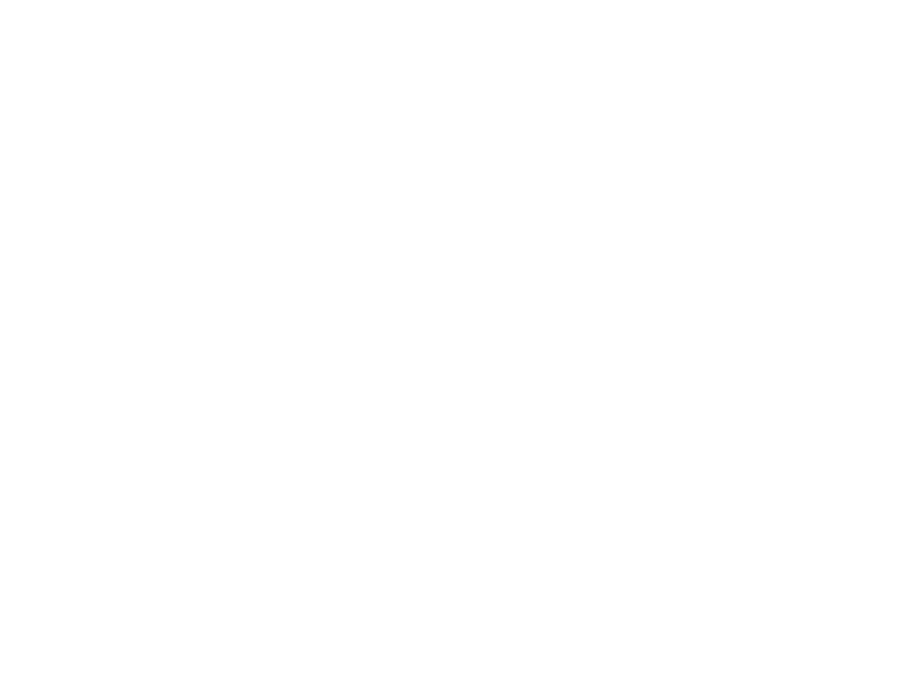 Mount Marathon Race in Seward